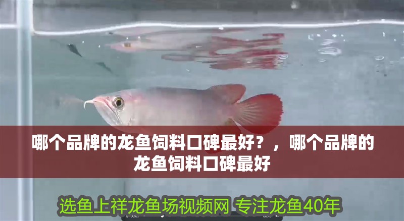 詳細閱讀:哪個品牌的龍魚飼料口碑最好?,哪個品牌的龍魚飼料口碑最好 哪個品牌的龍魚飼料口碑最好?,哪個品牌的龍魚飼料口碑最好