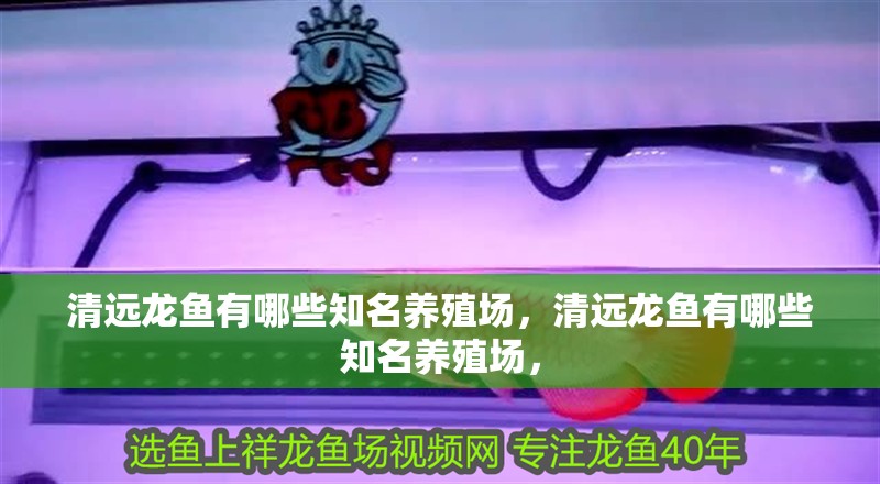 清遠龍魚有哪些知名養殖場，清遠龍魚有哪些知名養殖場，