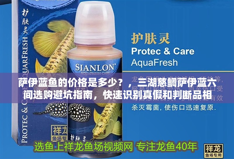 詳細閱讀:薩伊藍魚的價格是多少?,三湖慈鯛薩伊藍六間選購避坑指南,快速識別真假和判斷品相 薩伊藍魚的價格是多少?,三湖慈鯛薩伊藍六間選購避坑指南,快速識別真假和判斷品相