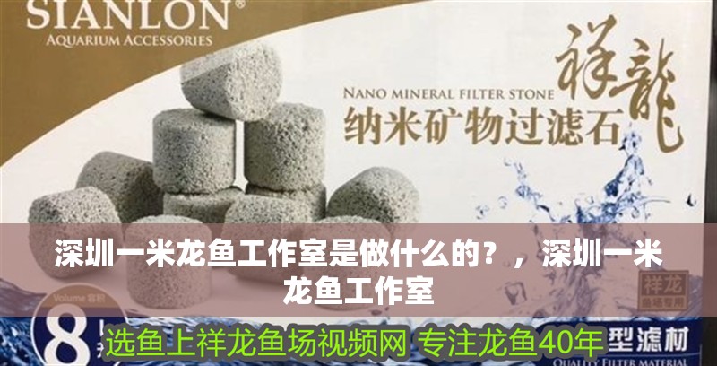 詳細閱讀:深圳一米龍魚工作室是做什么的?,深圳一米龍魚工作室 深圳一米龍魚工作室是做什么的?,深圳一米龍魚工作室