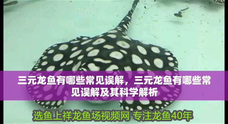 詳細閱讀:三元龍魚有哪些常見誤解,三元龍魚有哪些常見誤解及其科學解析 三元龍魚有哪些常見誤解,三元龍魚有哪些常見誤解及其科學解析