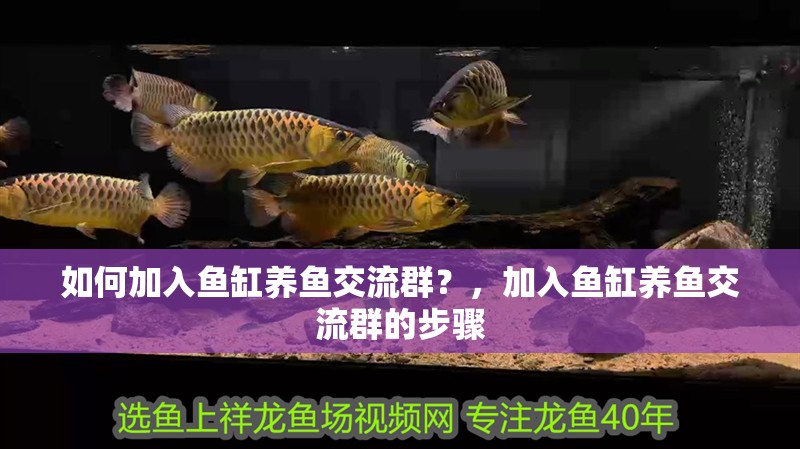 如何加入魚缸養魚交流群？，加入魚缸養魚交流群的步驟