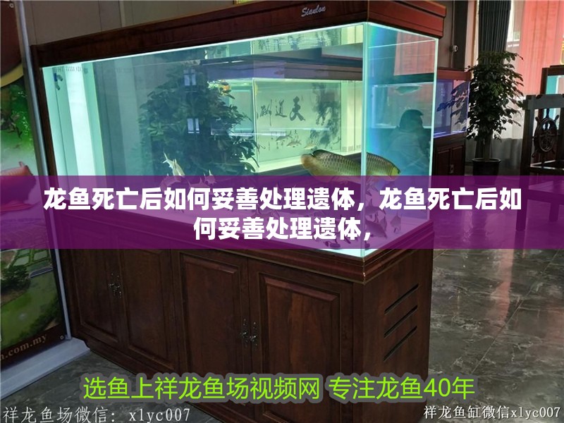 詳細閱讀:龍魚死亡后如何妥善處理遺體,龍魚死亡后如何妥善處理遺體, 龍魚死亡后如何妥善處理遺體,龍魚死亡后如何妥善處理遺體,