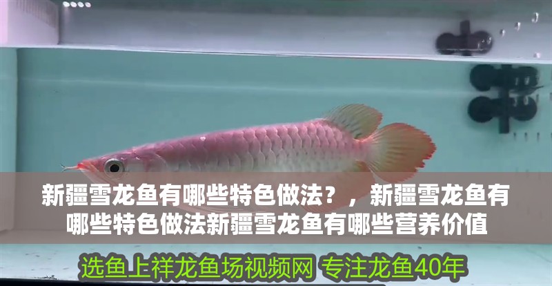 新疆雪龍魚有哪些特色做法？，新疆雪龍魚有哪些特色做法新疆雪龍魚有哪些營養(yǎng)價值