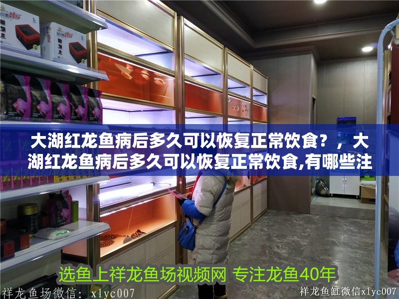 大湖紅龍魚病后多久可以恢復正常飲食？，大湖紅龍魚病后多久可以恢復正常飲食,有哪些注意事項