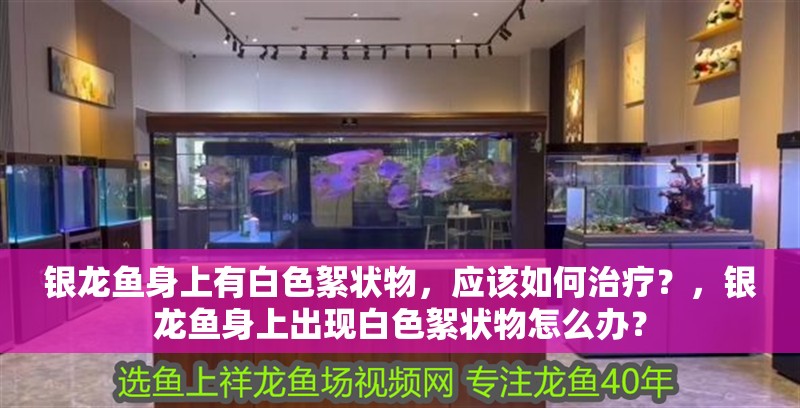 銀龍魚身上有白色絮狀物，應該如何治療？，銀龍魚身上出現白色絮狀物怎么辦？