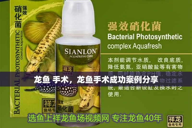 龍魚 手術(shù)，龍魚手術(shù)成功案例分享