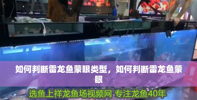 如何判斷雷龍魚蒙眼類型，如何判斷雷龍魚蒙眼