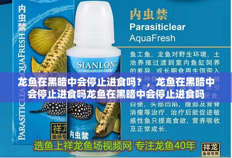 龍魚在黑暗中會(huì)停止進(jìn)食嗎？，龍魚在黑暗中會(huì)停止進(jìn)食嗎龍魚在黑暗中會(huì)停止進(jìn)食嗎