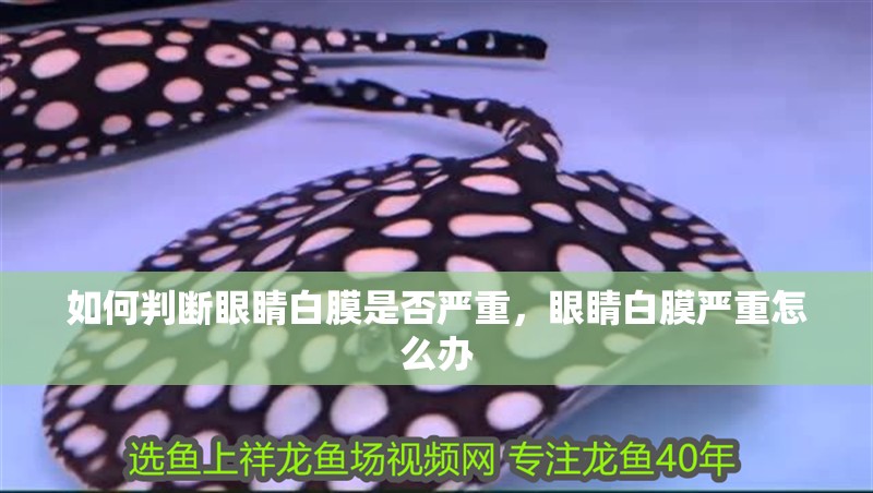 如何判斷眼睛白膜是否嚴重，眼睛白膜嚴重怎么辦