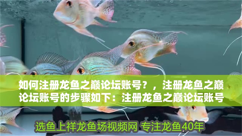 如何注冊龍魚之巔論壇賬號？，注冊龍魚之巔論壇賬號的步驟如下：注冊龍魚之巔論壇賬號的步驟