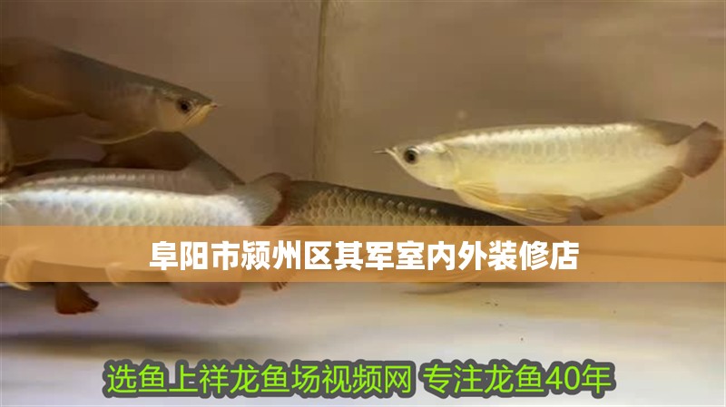玻璃做魚缸怎么粘才牢固:如何自制玻璃魚缸 阜陽市潁州區其軍室內外裝修店 全國水族館企業名錄 阜陽市潁州區其軍室內外裝修店 阜陽市潁州區其軍室內外裝修店 全國水族館企業名錄