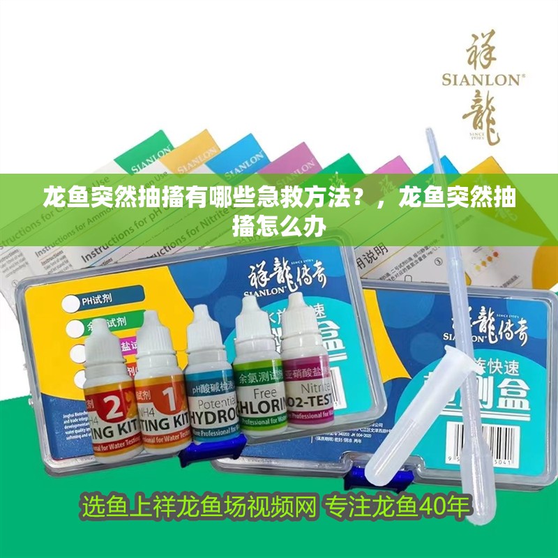 龍魚突然抽搐有哪些急救方法？，龍魚突然抽搐怎么辦