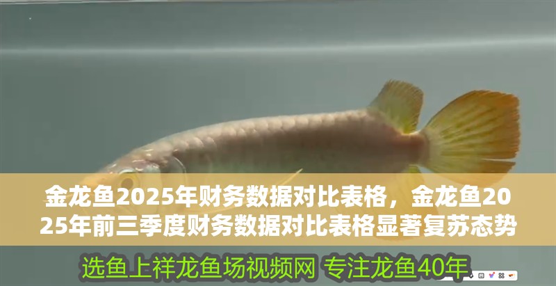 金龍魚2025年財務數據對比表格，金龍魚2025年前三季度財務數據對比表格顯著復蘇態勢