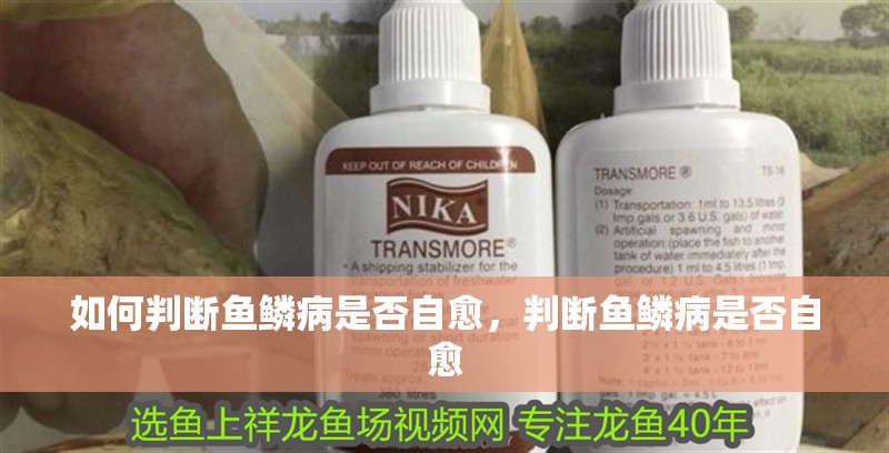 如何判斷魚鱗病是否自愈，判斷魚鱗病是否自愈