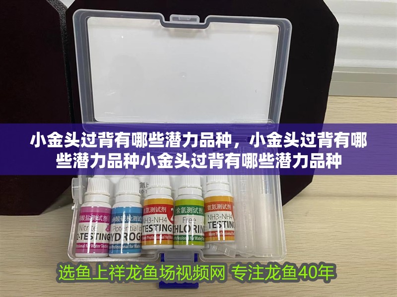 <strong><mark>小金</mark></strong>頭過(guò)背有哪些潛力品種，<strong><mark>小金</mark></strong>頭過(guò)背有哪些潛力品種<strong><mark>小金</mark></strong>頭過(guò)背有哪些潛力品種