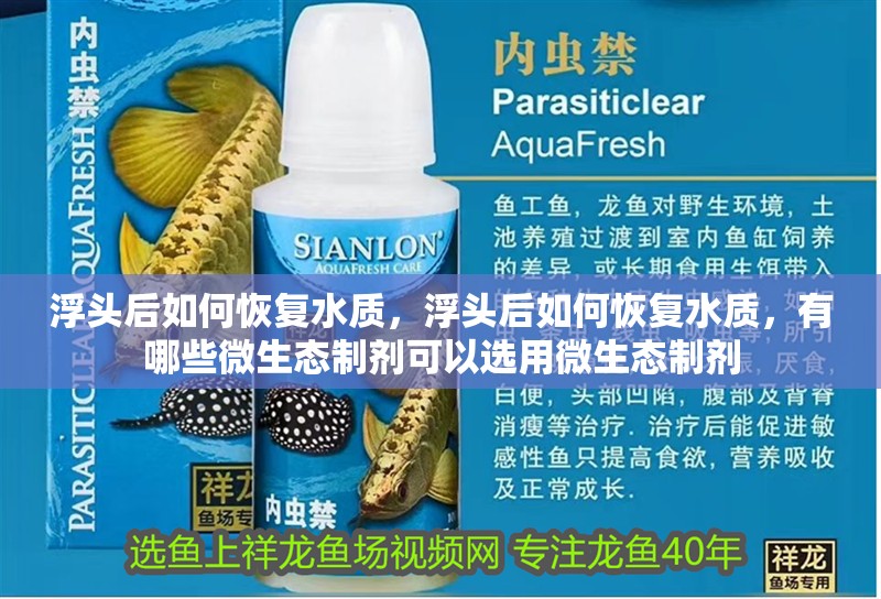 浮頭后如何恢復(fù)水質(zhì)，浮頭后如何恢復(fù)水質(zhì)，有哪些微生態(tài)制劑可以選用微生態(tài)制劑