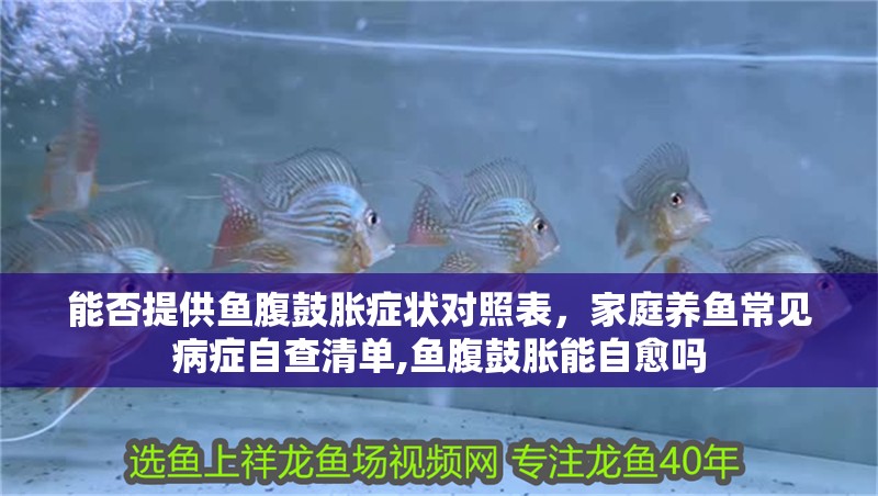 能否提供魚腹鼓脹癥狀對照表，家庭養魚常見病癥自查清單,魚腹鼓脹能自愈嗎