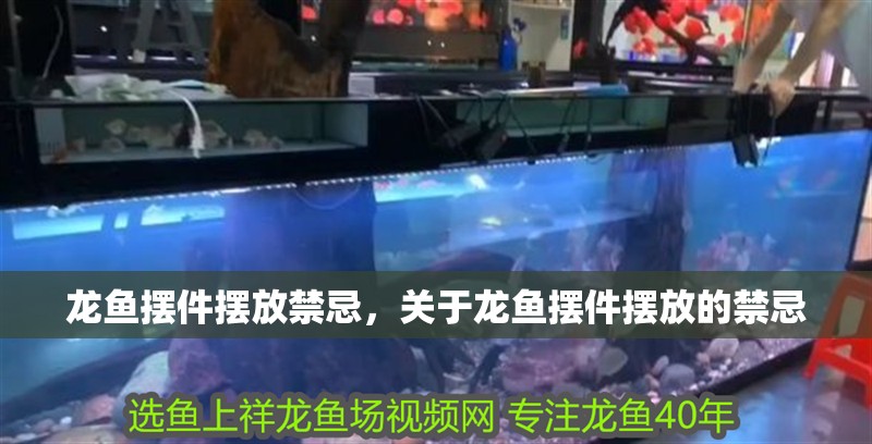 龍魚擺件擺放禁忌，關于龍魚擺件擺放的禁忌