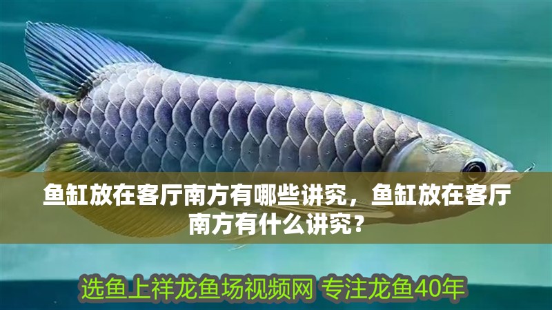 魚缸放在客廳南方有哪些講究，魚缸放在客廳南方有什么講究？