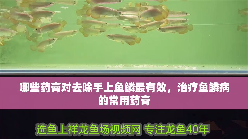 哪些藥膏對去除手上魚鱗最有效，治療魚鱗病的常用藥膏