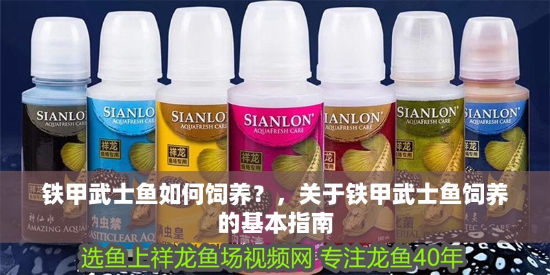 鐵甲武士魚如何飼養？，關于鐵甲武士魚飼養的基本指南