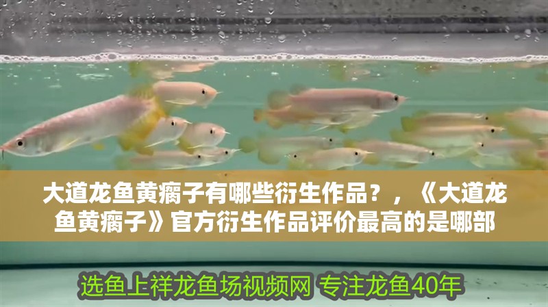 大道龍魚黃瘸子有哪些衍生作品？，《大道龍魚黃瘸子》官方衍生作品評價最高的是哪部