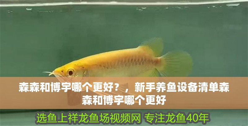 森森和博宇哪個更好？，新手養魚設備清單森森和博宇哪個更好