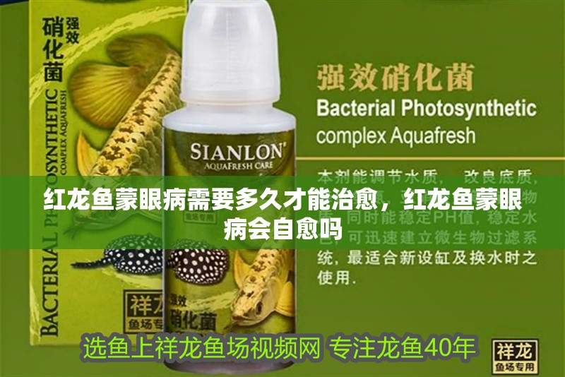 紅龍魚蒙眼病需要多久才能治愈，紅龍魚蒙眼病會自愈嗎