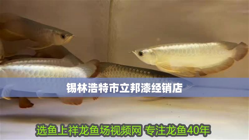 錫林浩特市立邦漆經銷店