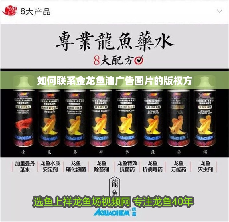 如何聯系金龍魚油廣告圖片的版權方