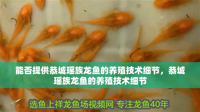 能否提供恭城瑤族龍魚的養殖技術細節，恭城瑤族龍魚的養殖技術細節