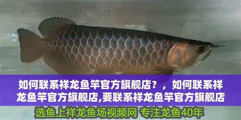 如何聯系祥龍魚竿官方旗艦店？，如何聯系祥龍魚竿官方旗艦店,要聯系祥龍魚竿官方旗艦店