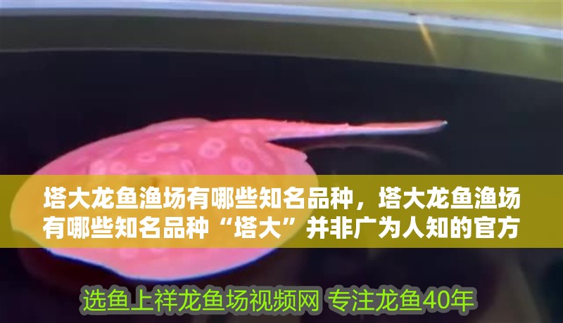 塔大龍魚漁場有哪些知名品種，塔大龍魚漁場有哪些知名品種“塔大”并非廣為人知的官方名稱