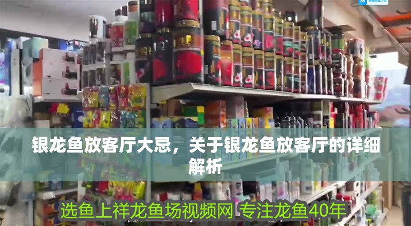 銀龍魚放客廳大忌，關于銀龍魚放客廳的詳細解析