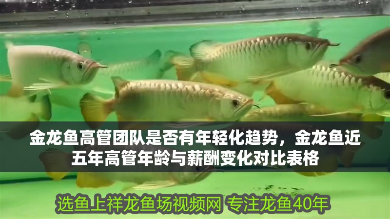 金龍魚高管團隊是否有年輕化趨勢，金龍魚近五年高管年齡與薪酬變化對比表格