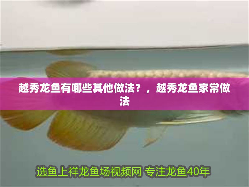 越秀龍魚有哪些其他做法？，越秀龍魚家常做法