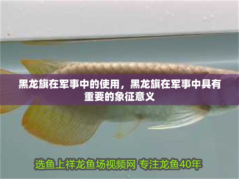 黑龍旗在軍事中的使用，黑龍旗在軍事中具有重要的象征意義