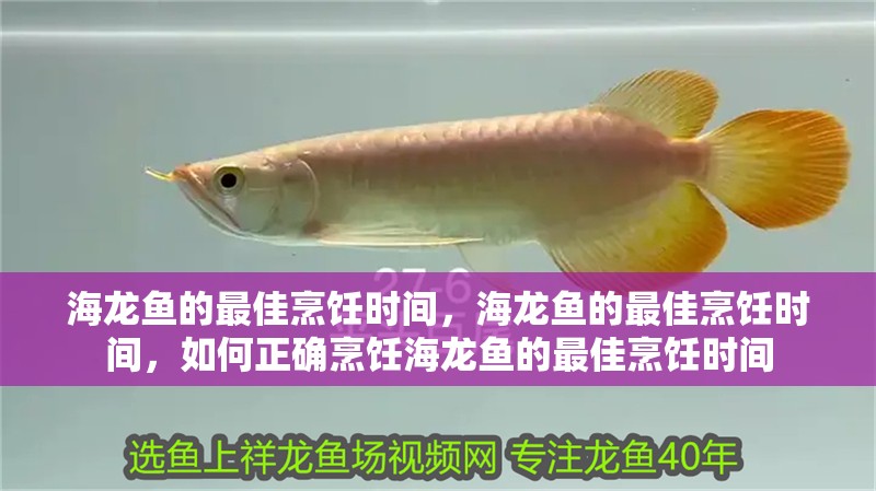 海龍魚的最佳烹飪時間，海龍魚的最佳烹飪時間，如何正確烹飪海龍魚的最佳烹飪時間