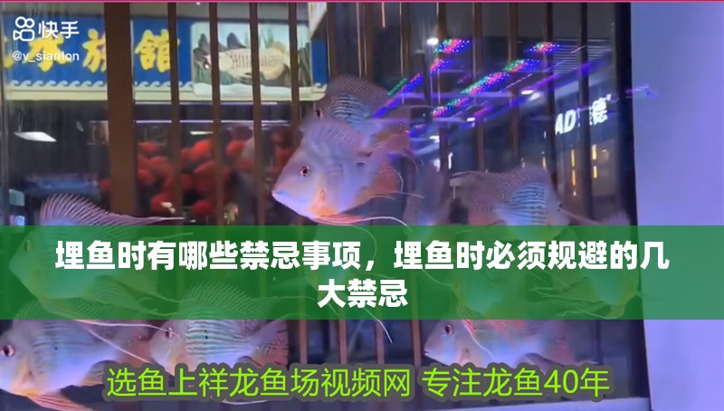 埋魚時有哪些禁忌事項，埋魚時必須規避的幾大禁忌