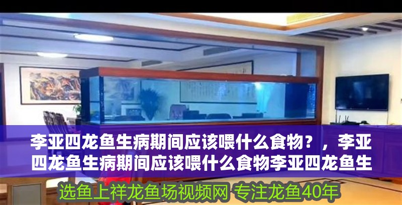 李亞四龍魚生病期間應該喂什么食物？，李亞四龍魚生病期間應該喂什么食物李亞四龍魚生病期間喂什么