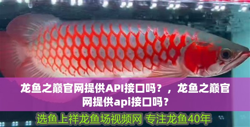 龍魚之巔官網提供API接口嗎？，龍魚之巔官網提供api接口嗎？