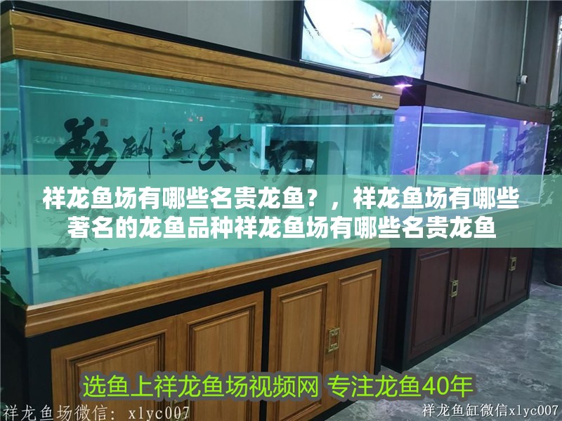 祥龍魚場有哪些名貴龍魚？，祥龍魚場有哪些著名的龍魚品種祥龍魚場有哪些名貴龍魚