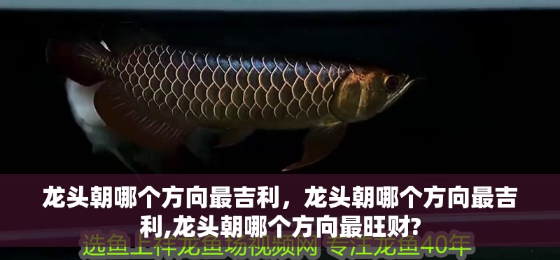 龍頭朝哪個方向最吉利，龍頭朝哪個方向最吉利,龍頭朝哪個方向最旺財?
