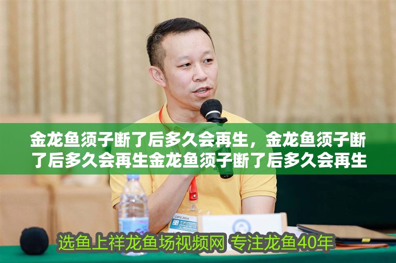金龍魚須子斷了后多久會再生，金龍魚須子斷了后多久會再生金龍魚須子斷了后多久會再生