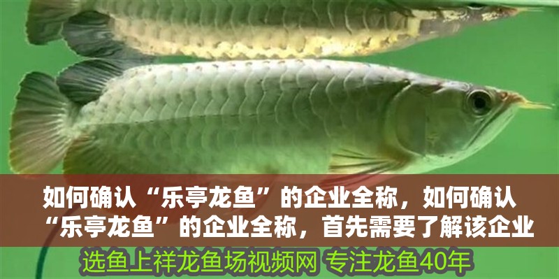 如何確認“樂亭龍魚”的企業全稱，如何確認“樂亭龍魚”的企業全稱，首先需要了解該企業的背景信息
