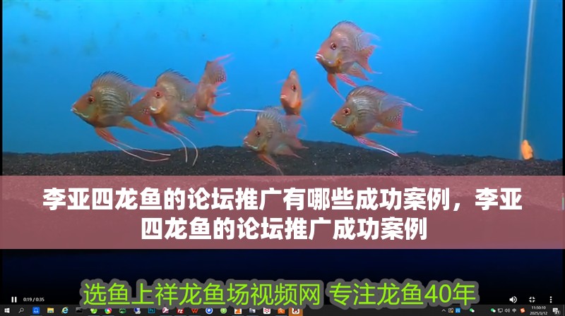 李亞四龍魚的論壇推廣有哪些成功案例，李亞四龍魚的論壇推廣成功案例