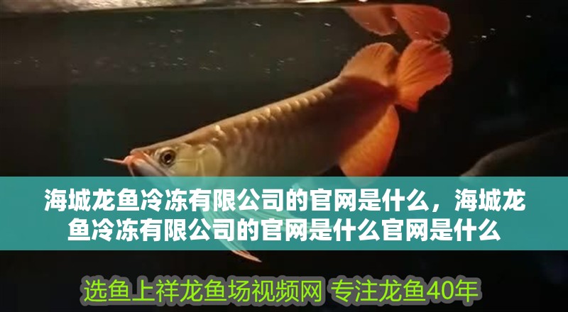 海城龍魚冷凍有限公司的官網是什么，海城龍魚冷凍有限公司的官網是什么官網是什么