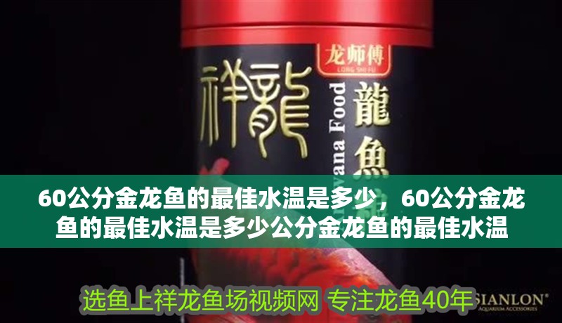 60公分金龍魚(yú)的最佳水溫是多少，60公分金龍魚(yú)的最佳水溫是多少公分金龍魚(yú)的最佳水溫