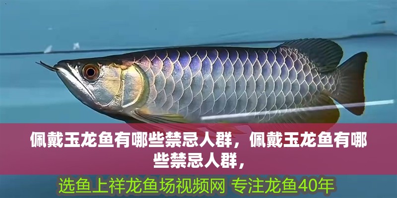 佩戴玉龍魚有哪些禁忌人群，佩戴玉龍魚有哪些禁忌人群，